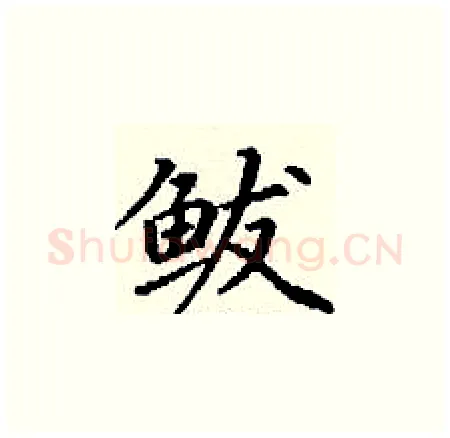 鲅硬笔楷书写法,摘自丁谦硬笔书法字帖