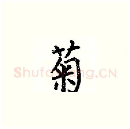 菊硬笔楷书写法,摘自何伯昌硬笔书法字帖