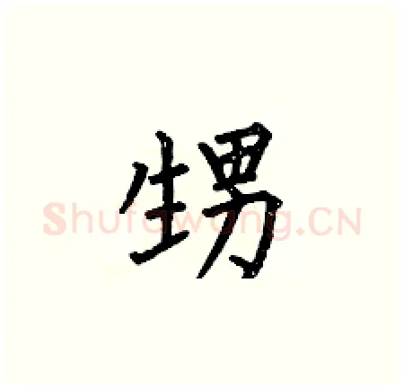 甥硬笔楷书写法,摘自何伯昌硬笔书法字帖