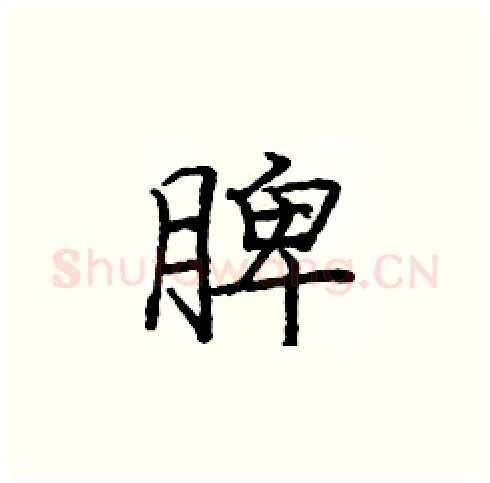 脾硬笔楷书写法,摘自庞中华硬笔书法字帖
