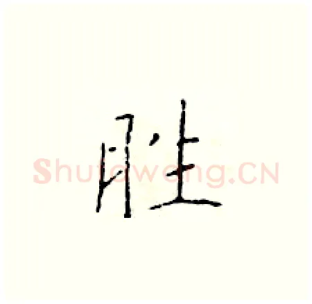 胜硬笔楷书写法,摘自于学仁硬笔书法字帖