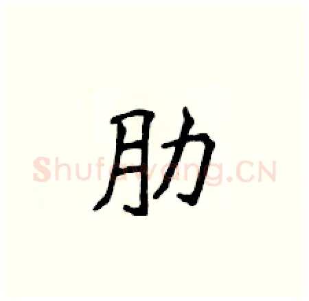 肋硬笔楷书写法,摘自侯登峰硬笔书法字帖