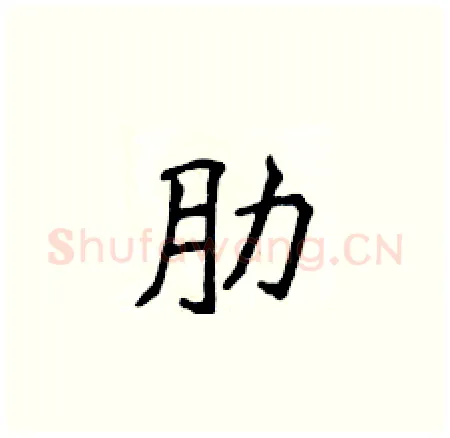 肋硬笔楷书写法,摘自侯登峰硬笔书法字帖