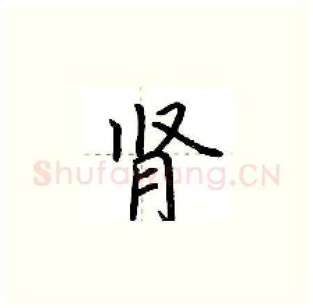 肾硬笔楷书写法,摘自荆霄鹏硬笔书法字帖