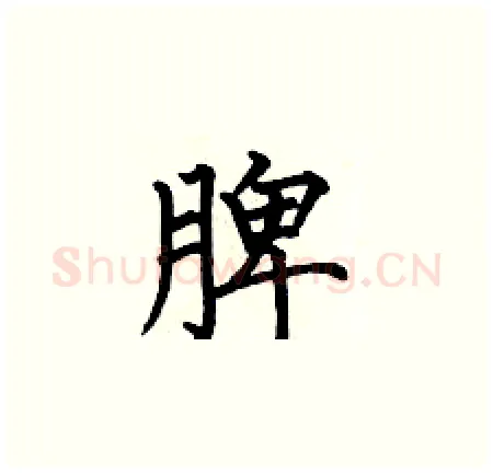 脾硬笔楷书写法,摘自何伯昌硬笔书法字帖