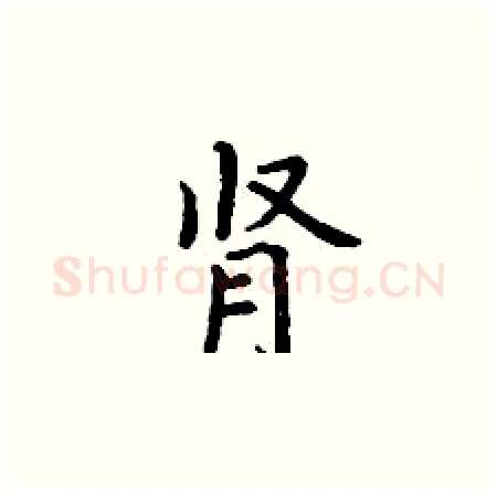 肾硬笔楷书写法,摘自丁谦硬笔书法字帖