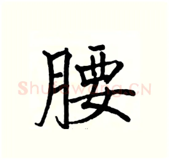 腰硬笔楷书写法,摘自骆恒光硬笔书法字帖
