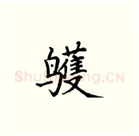 鹱硬笔楷书写法,摘自丁谦硬笔书法字帖