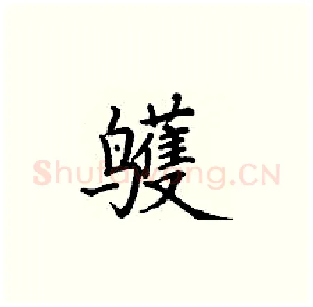 鹱硬笔楷书写法,摘自丁谦硬笔书法字帖