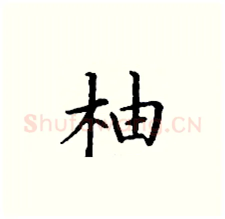 柚硬笔楷书写法,摘自丁谦硬笔书法字帖