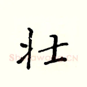 壮