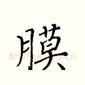 膜