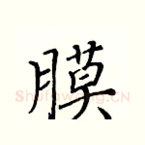 膜