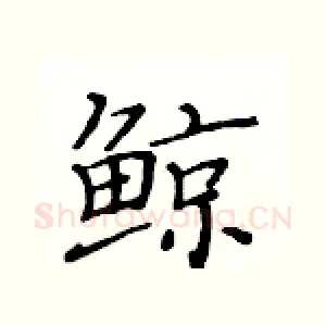 鲸