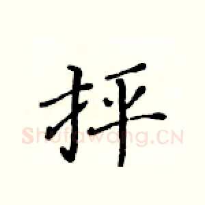 抨