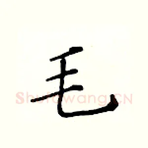 毛
