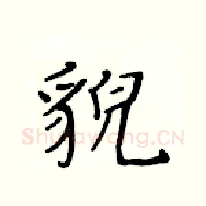 貌