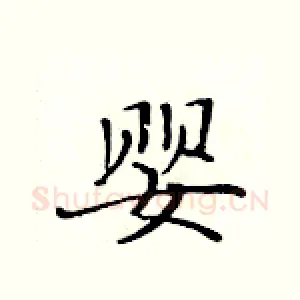 婴