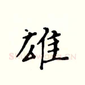 雄