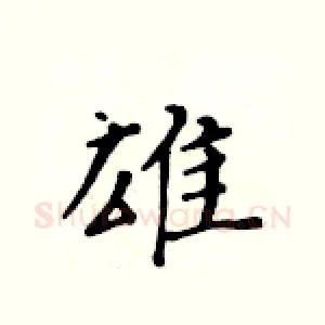 雄