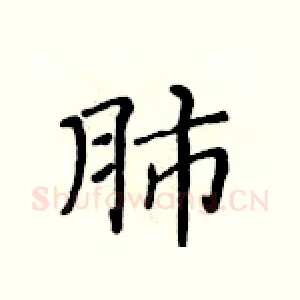 肺