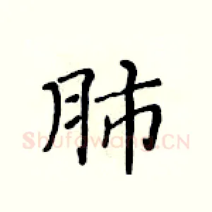 肺