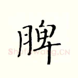 脾