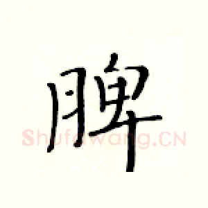 脾