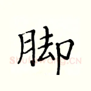 脚