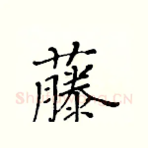 藤
