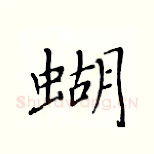 蝴