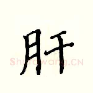 肝