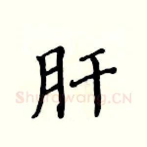 肝