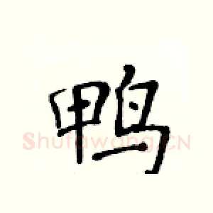 鸭
