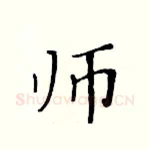 师