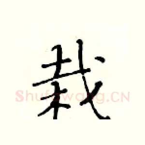 栽