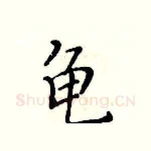 龟