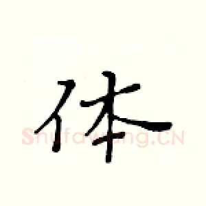 体