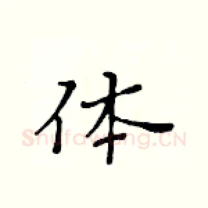 体