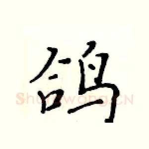 鸽