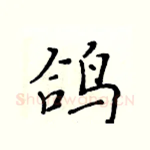 鸽