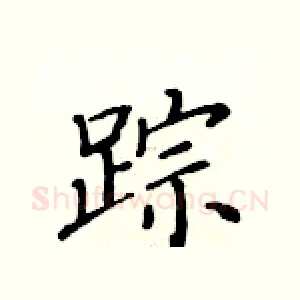 踪