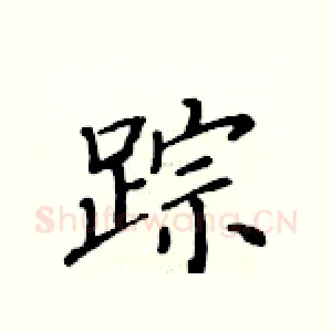 踪