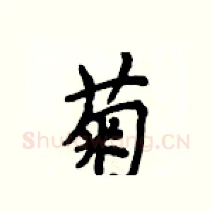 菊
