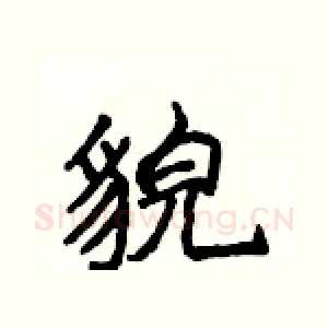貌