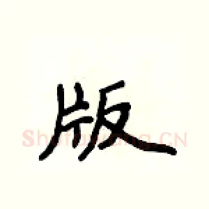 版