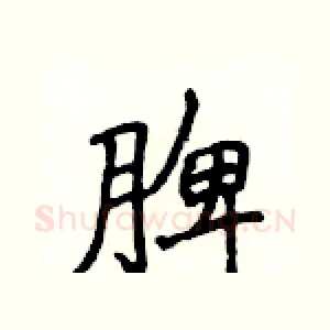 脾