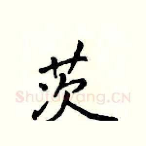 茨