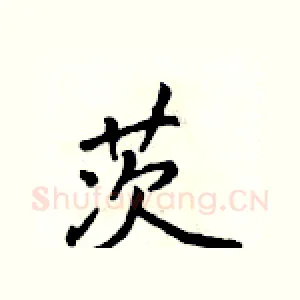 茨
