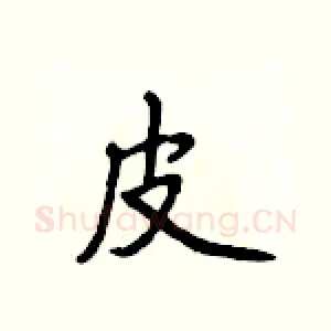 皮
